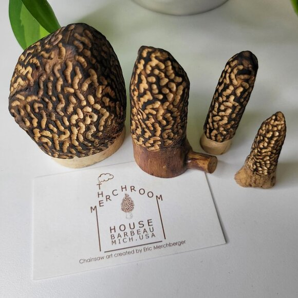 Set of 4 Morel Mushroom Wood Carved Merchroom Forage Mantle Outdoors Fungi Art - Picture 10 of 11